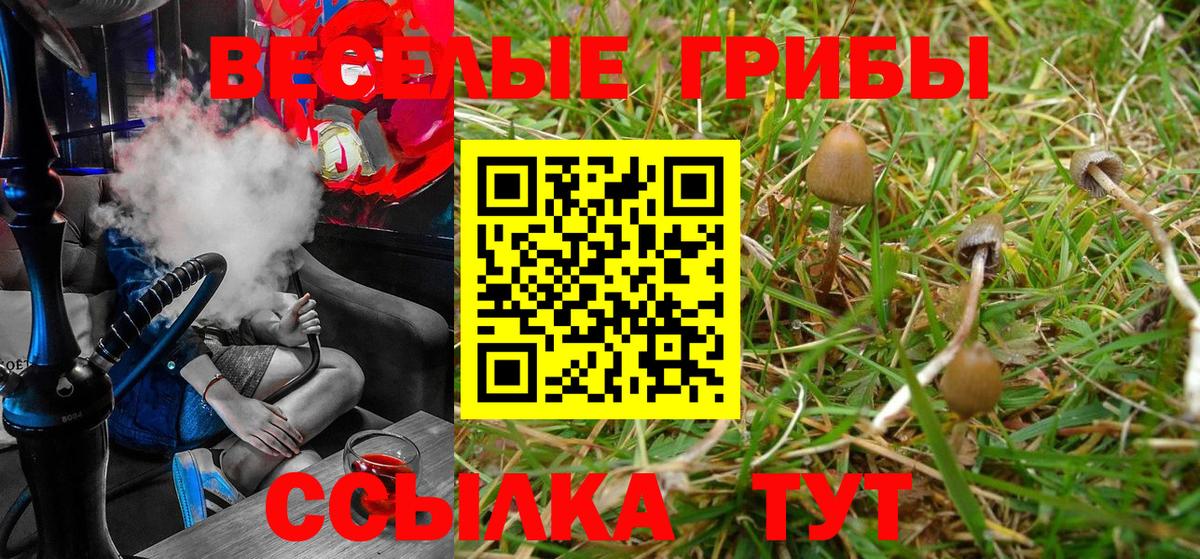 Псилоцибиновые грибы Cubensis Кстово