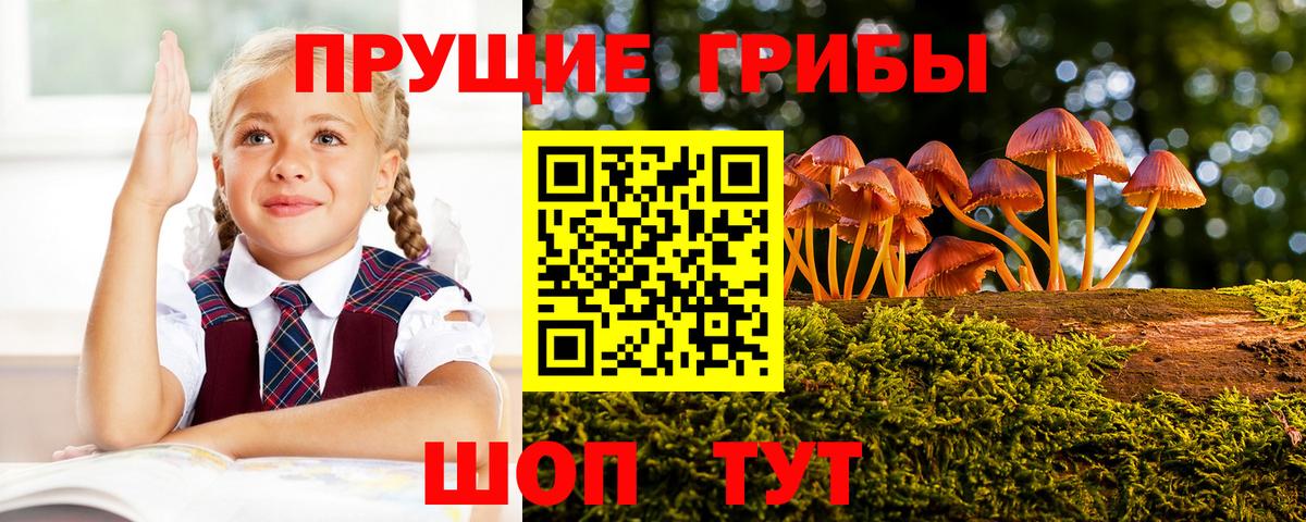 Псилоцибиновые грибы мицелий  Вход с VPN  Кстово 